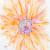 Glorious Poppy
Watercolor
5x7, 8x10 Prints, Note cards, Bookmark