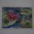 Water Lilies: Watercolor 
Matted Print
5x7, 8x10