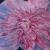 Peony
Acrylic
Prints: 8x10, 11x14,16x20(painted mat, pearlized print finish)
matted prints
