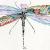 Mystical Dragonfly; watercolor / ink
5x7, 8x10, 11x14 prints matted in a white double mat 
Single note cards available