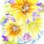 Sunflowers Watercolor
5x7, 8x10
Note cards: 6 w/ envs
Bookmarks 
