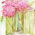 Watercolor
Prints
5x7, 8x10
Larger sizes available
Note cards: 6 w/ envs
Bookmarks