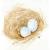Nest
Watercolor
5x7, 8x10 Prints